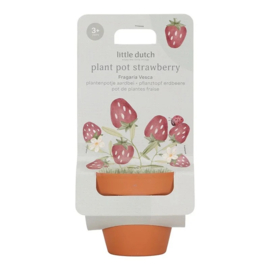 little dutch plantenpotje Aardbei