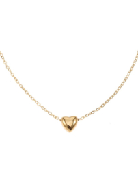 rose en camellia ketting goud hart