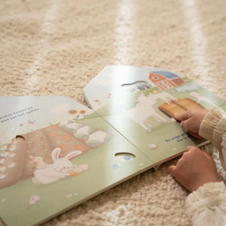 Boek Little Dutch doorkijkboek boerderij