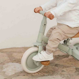 Little Dutch Driewieler met duwstang groen