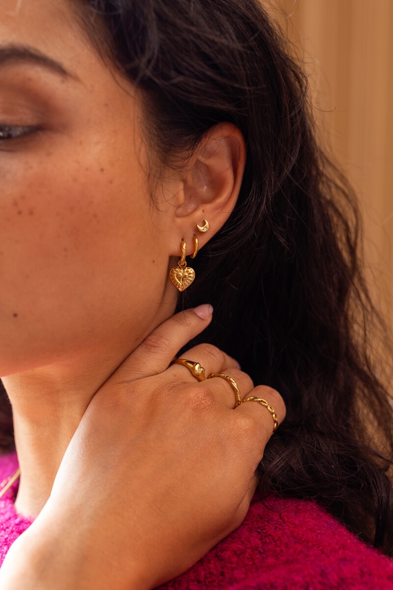 My Jewellery Mystic oorringen met gestreept hart