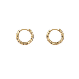 Go Dutch Label oorbellen | ringen goud met motief.