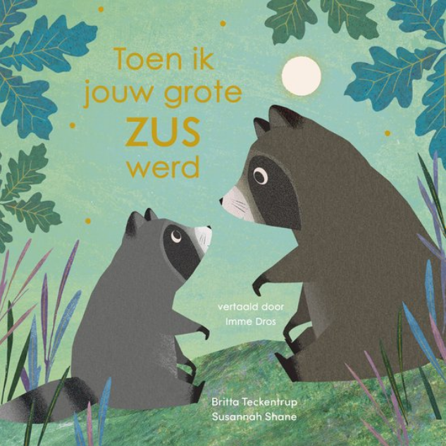 Toen ik jouw grote zus werd | prentenboek