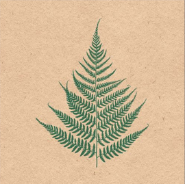 Ambiënte servetten | fern leaf