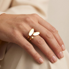 Camps & Camps ring Triple Balance goud