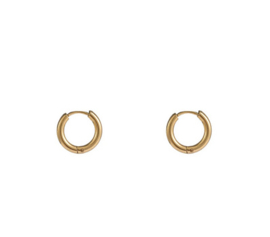 Go Dutch Label oorbellen | hoop 2,5 x 10mm goud