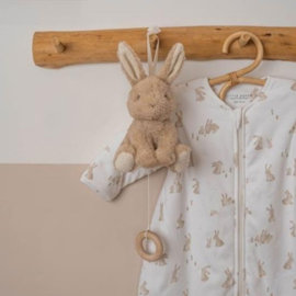 Little Dutch muziekdoosje little bunny