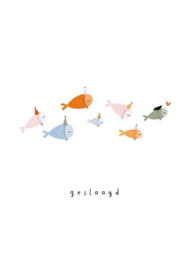 wenskaart klein liefs | geslaagd