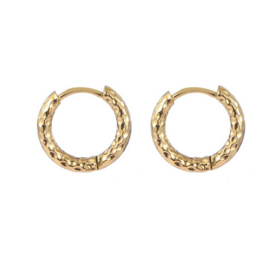 Go Dutch Label oorbellen | ringen goud met motief.