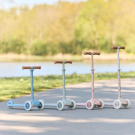 Little Dutch Step driewieler -roze