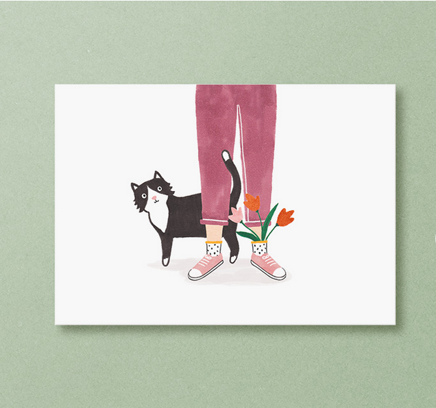 studio kuukeluus ansichtkaart zwarte kat