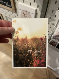 pluktuin foto kaart