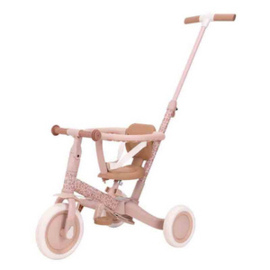 Little Dutch Driewieler met duwstang Fairy Floral