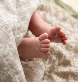 A Little Lovely Company swaddle | leaves taupe