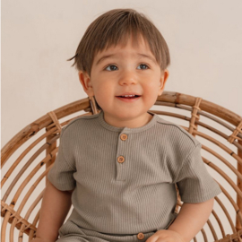 little dutch t-shirt korte mouw  little goose olive