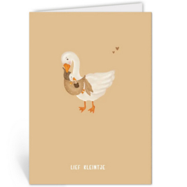 wenskaart Studio Lin Lief kleintje
