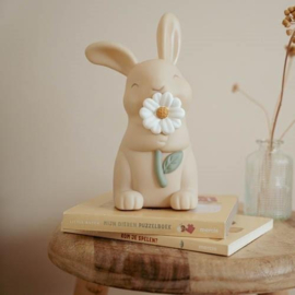 Little Dutch nachtlampje baby bunny