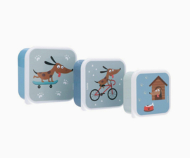 tutete set trommeltjes skater dog