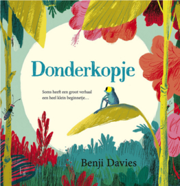 Donderkopje | prentenboek karton