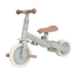 Little Dutch Driewieler met duwstang groen