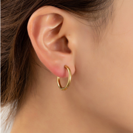 Go Dutch Label oorbellen | hoop 2,5 x 16mm goud