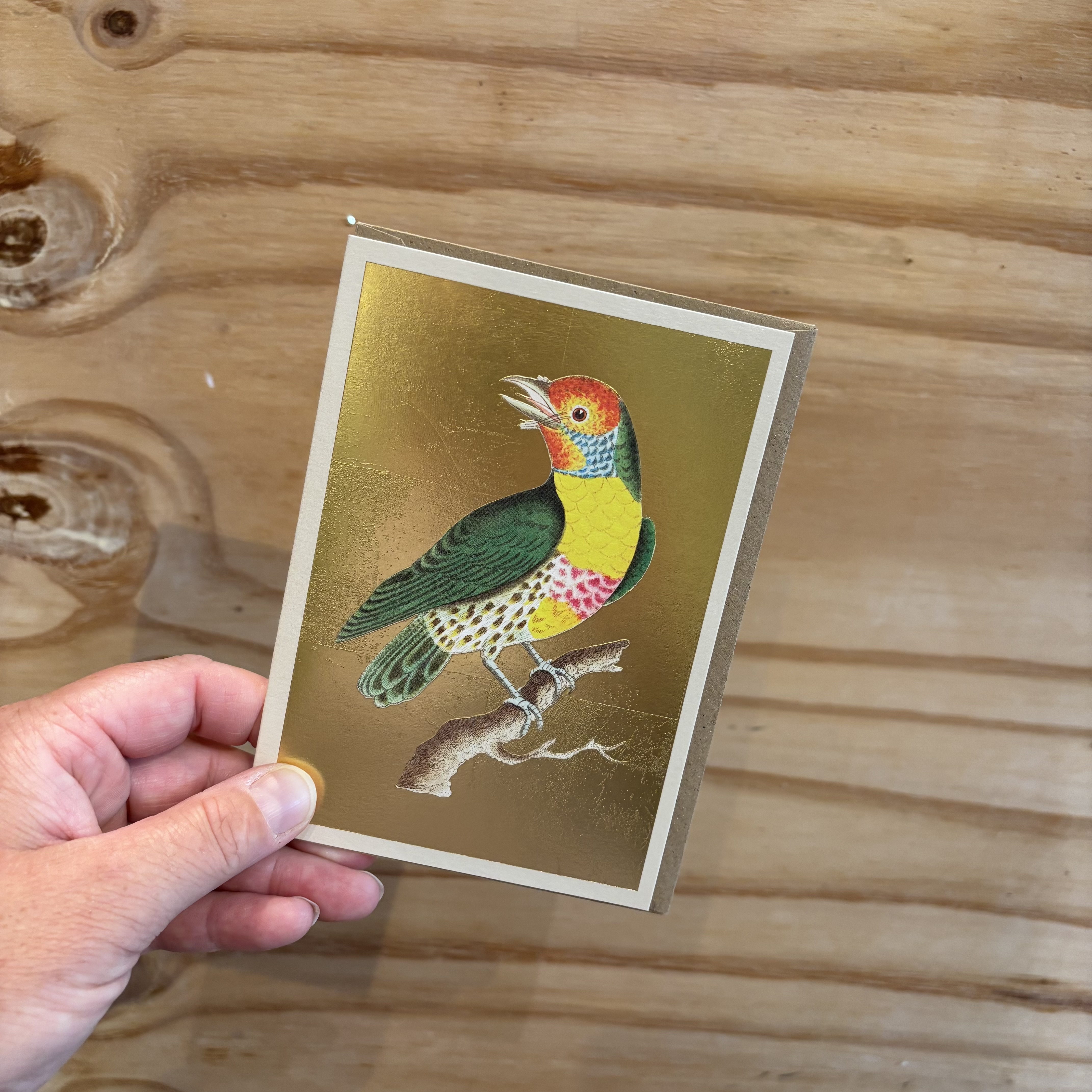 ohh deer wenskaart barbet