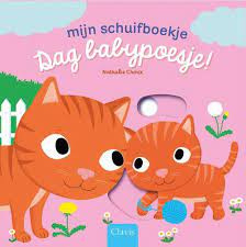 Mijn schuifboekje Dag babypoesje| karton