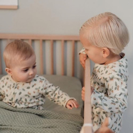Little Dutch Tweedelige pyjama - Groen