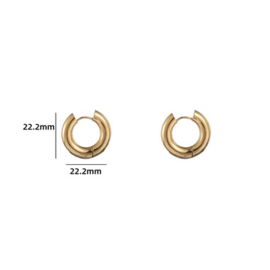 Go Dutch Label oorbellen | hoop 5 x 12mm goud