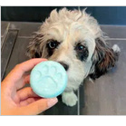 Shampoo bars shampoo voor honden
