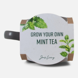 giftstories jens living Groei je eigen muntthee mok