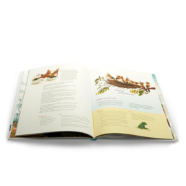 Boek Geluk voor kinderen VRIENDSCHAP | prentenboek