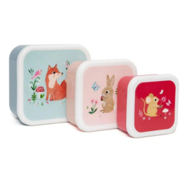 Petit Monkey lunchbox set | vos en vrienden