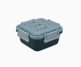 tutete lunchbox klein auto's