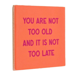 homebound tegeltje you are not too old and it's not too late