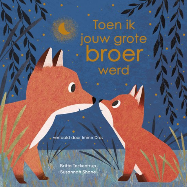 Toen ik jouw grote broer werd | prentenboek