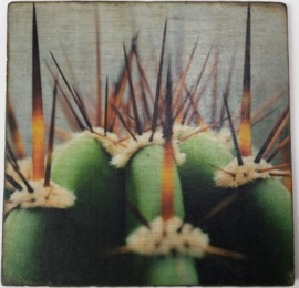 cottoncounts houten onderzetter | Cactus