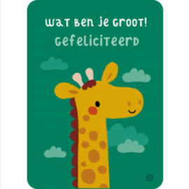 Bora wenskaart | giraf