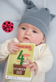 Milestone® Baby Photo Cards | Original