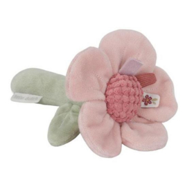Rammelaar Bloem Fairy Garden