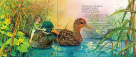 Het land van de waterfeeën | prentenboek