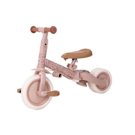 Little Dutch Driewieler met duwstang Fairy Floral