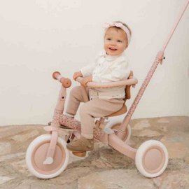 Little Dutch Driewieler met duwstang Fairy Floral