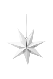 vtwonen kerstster zilver 48cm