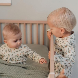 Little Dutch Eendelige pyjama - Groen