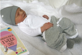 Milestone® Baby Photo Cards | Original