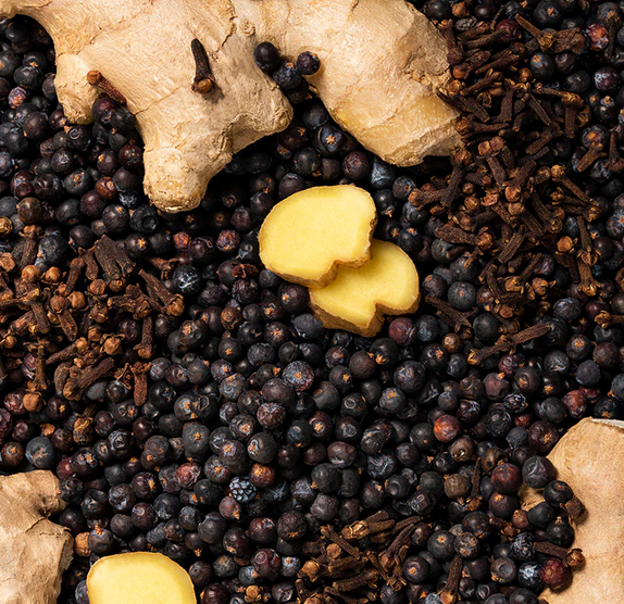 prospectt Pineut Snippers Botanicals Spiced Gin | 350ml