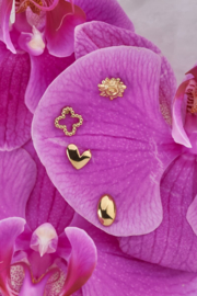 My Jewellery oorbellen Studs klaver