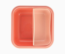 tutete lunchbox groot wild fairies