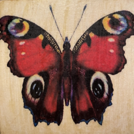 cottoncounts houten onderzetter | "Dagpauwoog vlinder"
